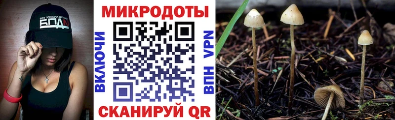 Псилоцибиновые грибы мухоморы  Ермолино 